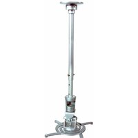 CACTUS CS-VM-PR01L-AL