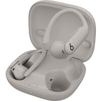 Наушники Beats Powerbeats Pro 2 (серый) - Превью изображения №2 — Интернет-магазин ПроЗаказ
