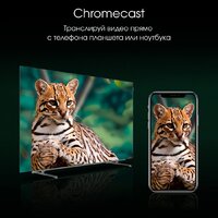 OLED телевизор Digma Pro OLED 65M - Превью изображения №11 — Интернет-магазин ПроЗаказ