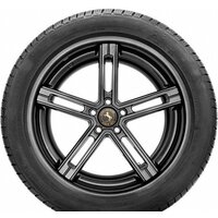 Зимние шины Continental ContiWinterContact TS 830 P 255/50R21 109H ContiSeal - Превью изображения №3 — Интернет-магазин ПроЗаказ