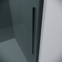 Душевой уголок Grossman Galaxy 100x90x195 120.K33.01.1090.42.10 (графит сатин/стекло тонированное) - Превью изображения №2 — Интернет-магазин ПроЗаказ