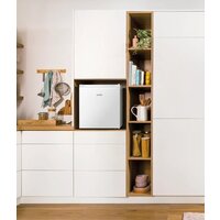 Мини-холодильник Gorenje R44E4W4 - Превью изображения №4 — Интернет-магазин ПроЗаказ