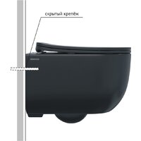 Унитаз подвесной Berges Wasserhaus Ventas Black Rimless + АТОМ 410 AT-043343 (с сиденьем) - Превью изображения №5 — Интернет-магазин ПроЗаказ