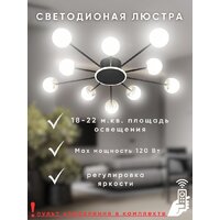 Припотолочная люстра Aitin Pro L73058/10C (черный/хром) - Превью изображения №6 — Интернет-магазин ПроЗаказ