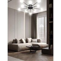 Припотолочная люстра Aitin Pro L73058/10C (черный/хром) - Превью изображения №5 — Интернет-магазин ПроЗаказ