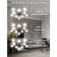 Припотолочная люстра Aitin Pro L73058/10C (черный/хром) - Превью изображения №8 — Интернет-магазин ПроЗаказ