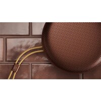Беспроводная колонка Bang & Olufsen Beosound A1 3rd Gen (rustic red) - Превью изображения №5 — Интернет-магазин ПроЗаказ
