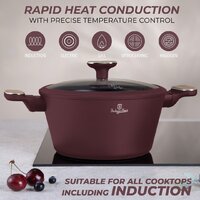 Набор кастрюль Berlinger Haus Leonardo Nordic Collection BH-8306 - Превью изображения №4 — Интернет-магазин ПроЗаказ