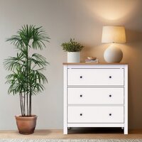 Комод Mio Tesoro Сага 2.08.02.020.14 (белый/ясень) - Превью изображения №3 — Интернет-магазин ПроЗаказ