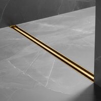 Трап/канал Lauter 210S373-GG 700x31 (золото) - Превью изображения №6 — Интернет-магазин ПроЗаказ