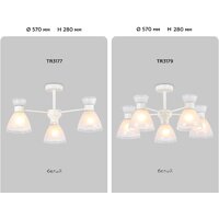 Припотолочная люстра Ambrella light TR3179/5 WH (белый) - Превью изображения №7 — Интернет-магазин ПроЗаказ