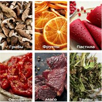 Сушилка для овощей и фруктов Kitfort KT-1914 - Превью изображения №6 — Интернет-магазин ПроЗаказ