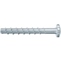 Fischer FBS II 546381 (100 шт)