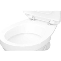 Унитаз напольный Керамин Лаго ЖС Инкоэр-Б1 (однорежимный дюропласт) - Превью изображения №4 — Интернет-магазин ПроЗаказ