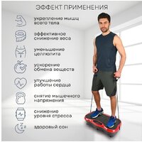 Виброплатформа Planta VP-03 - Превью изображения №5 — Интернет-магазин ПроЗаказ