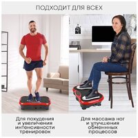 Виброплатформа Planta VP-03 - Превью изображения №7 — Интернет-магазин ПроЗаказ