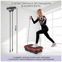 Виброплатформа Planta VP-03 - Превью изображения №12 — Интернет-магазин ПроЗаказ