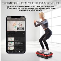 Виброплатформа Planta VP-03 - Превью изображения №13 — Интернет-магазин ПроЗаказ