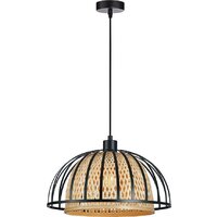 Arte Lamp Woodstock A7071SP-1BK