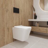 Унитаз подвесной Lauter Square 214903 с кнопкой 219703J (прямоугольная, сатин) - Превью изображения №9 — Интернет-магазин ПроЗаказ