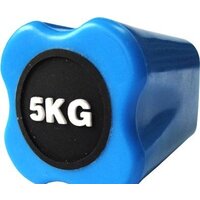 Бодибар Original FitTools FT-BDB-5 5 кг - Превью изображения №3 — Интернет-магазин ПроЗаказ