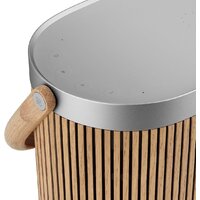 Беспроводная аудиосистема Bang & Olufsen BeoSound A5 (oak) - Превью изображения №8 — Интернет-магазин ПроЗаказ