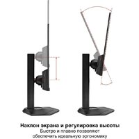 Монитор ExeGate ProSmart EZ2400C EX299032RUS - Превью изображения №2 — Интернет-магазин ПроЗаказ