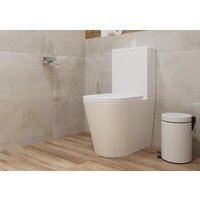 Унитаз напольный Lauter W76 P-TRAP 21122762 + гигиенический душ Mild 21LT072BM (горизонтальный выпуск) - Превью изображения №9 — Интернет-магазин ПроЗаказ