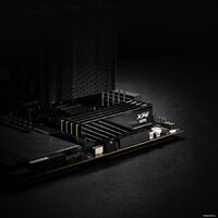 Оперативная память ADATA XPG Lancer Blade 16ГБ DDR5 6000 МГц AX5U6000C4816G-SLABBK - Превью изображения №5 — Интернет-магазин ПроЗаказ