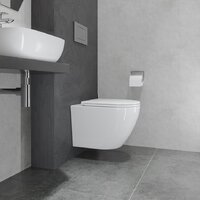 Унитаз подвесной Lauter Vortex 2110830VP + Breez 21GN7072BM - Превью изображения №19 — Интернет-магазин ПроЗаказ