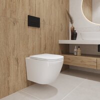 Унитаз подвесной Lauter Vortex 2110830VP + Breez 21GN7072BM - Превью изображения №22 — Интернет-магазин ПроЗаказ