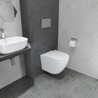 Унитаз подвесной Lauter Vortex 2110830VP + Breez 21GN7072BM - Превью изображения №21 — Интернет-магазин ПроЗаказ