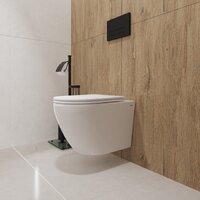 Унитаз подвесной Lauter Vortex 2110830VP + Breez 21GN7072BM - Превью изображения №17 — Интернет-магазин ПроЗаказ