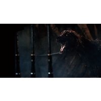  Bloodborne: Порождение крови. Game of the Year Edition для PlayStation 4 - Превью изображения №7 — Интернет-магазин ПроЗаказ