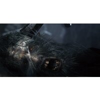  Bloodborne: Порождение крови. Game of the Year Edition для PlayStation 4 - Превью изображения №9 — Интернет-магазин ПроЗаказ