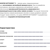 Зимние шины Pirelli Winter Sotto Zero Serie III 315/30R21 105V - Превью изображения №6 — Интернет-магазин ПроЗаказ
