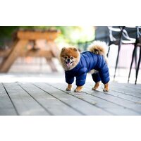 Комбинезон для животных Puppia Jumpesuit А PAPD-JM1672-NY-XXL (синий) - Превью изображения №4 — Интернет-магазин ПроЗаказ