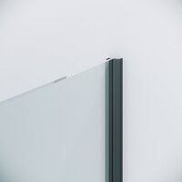 Душевая дверь Niagara Nova NG-34-12AGR 120x195 (графит/прозрачное стекло) - Превью изображения №3 — Интернет-магазин ПроЗаказ