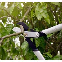 Сучкорез Fiskars PowerGeaX LX92 1020186 - Превью изображения №2 — Интернет-магазин ПроЗаказ