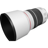 Объектив Canon RF 70-200mm F4L IS USM - Превью изображения №4 — Интернет-магазин ПроЗаказ