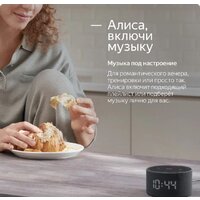 Умная колонка Яндекс Станция Мини 2 с часами (черный оникс) - Превью изображения №22 — Интернет-магазин ПроЗаказ