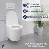 Унитаз подвесной Lauter Longer 2110822 с кнопкой 219703J (прямоугольная, сатин) - Превью изображения №6 — Интернет-магазин ПроЗаказ