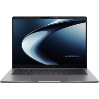 ASUS ExpertBook P3 PM3406CKA-LY0238 + 16 ГБ