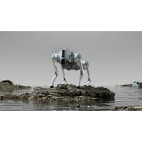 Умный робот-друг Unitree Go2 Pro - Превью изображения №28 — Интернет-магазин ПроЗаказ