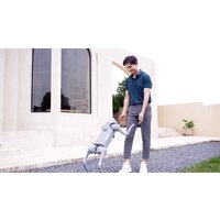 Умный робот-друг Unitree Go2 Pro - Превью изображения №14 — Интернет-магазин ПроЗаказ