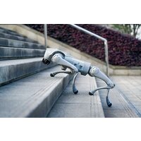 Умный робот-друг Unitree Go2 Pro - Превью изображения №11 — Интернет-магазин ПроЗаказ