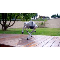 Умный робот-друг Unitree Go2 Pro - Превью изображения №16 — Интернет-магазин ПроЗаказ