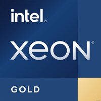 Intel Xeon Gold 6538Y+