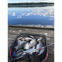 Удилище Волжанка Optima Evo Pro 10ft тест 25+гр 041-0111 (3м) - Превью изображения №8 — Интернет-магазин ПроЗаказ