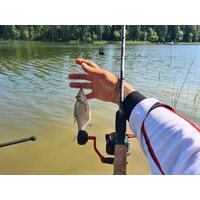 Удилище Волжанка Optima Evo Pro 10ft тест 25+гр 041-0111 (3м) - Превью изображения №7 — Интернет-магазин ПроЗаказ